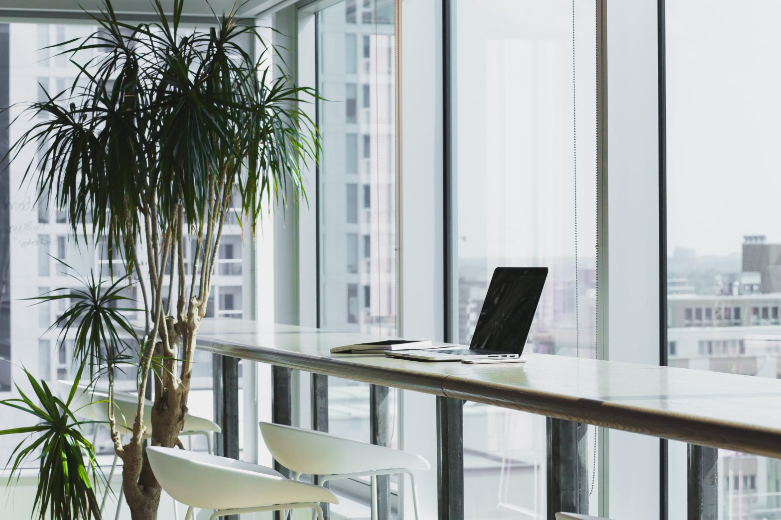 An office plant, and a laptop computer in a business office. They illustrate a blog about the paradoxes of leadership.